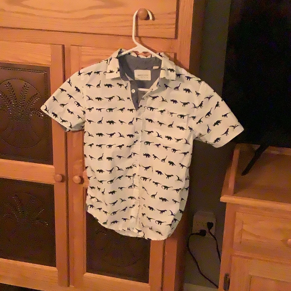 Paperdenim and Cloth boys dinosaur shirt, size 10/12